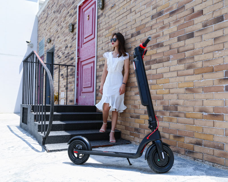 X8-350w Removable Lithium Battery Folding Electric E Scooter For Adult Raycool
