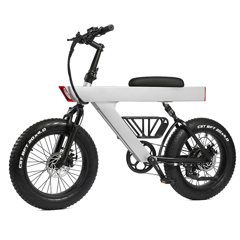 Q1-750W   Front fork/rear suspension dual shock absorption